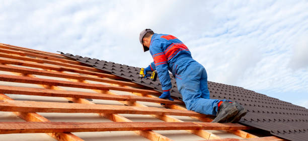 Best Skylight Installation and Repair  in Claypool Hill, VA